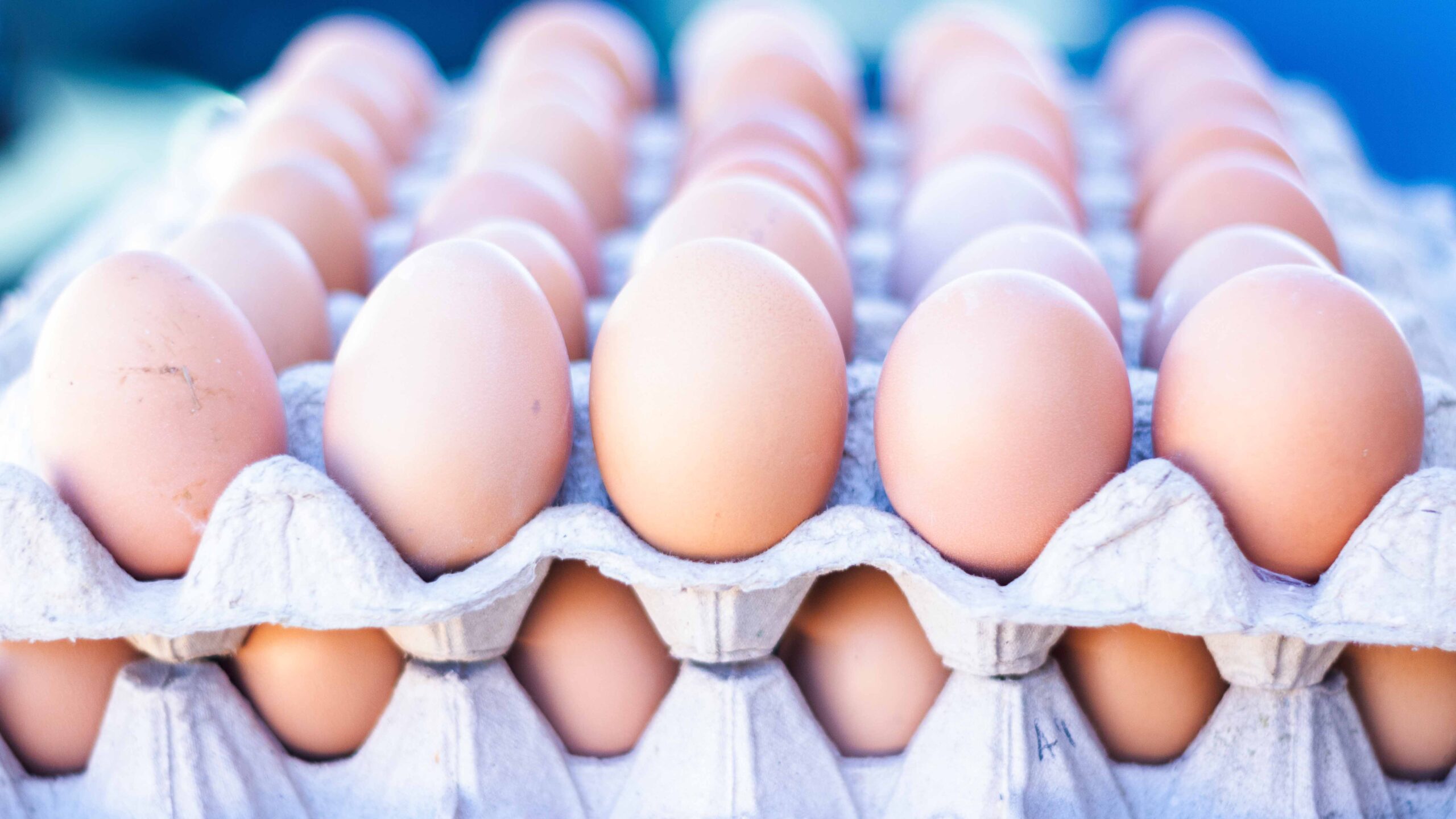 fresh farm eggs for sale in bulk corona virus lockdown